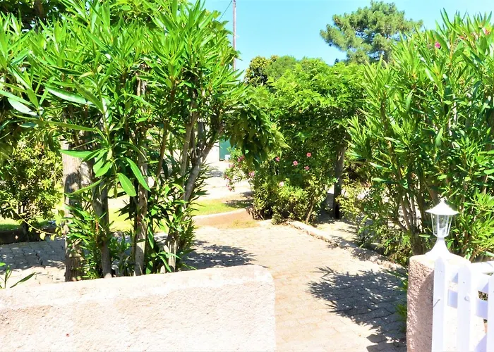 Canella 4 Favone
