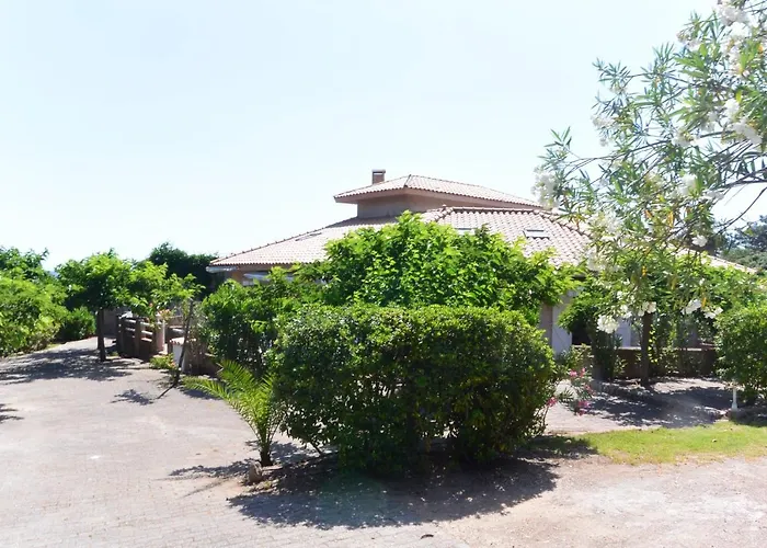 Canella 4