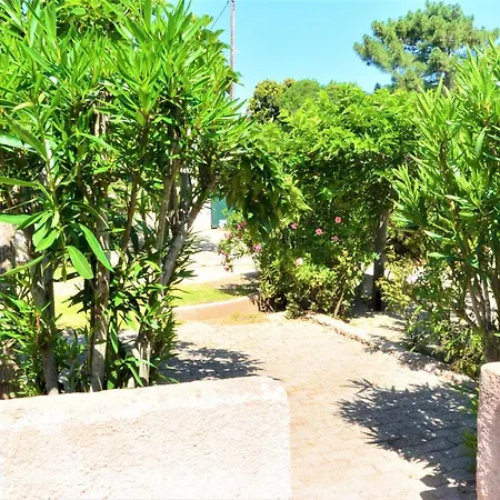 Canella 4 Фавон